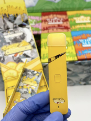Whole Melt Extracts Banana Creamsicle Disposable Vape 2 grams