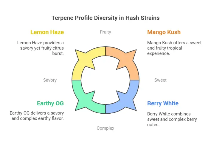 Flavor wheel showing range of terpene profiles in different hash strains